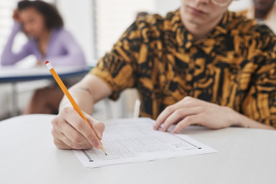 Geconcentreerde leerling maakt een toets